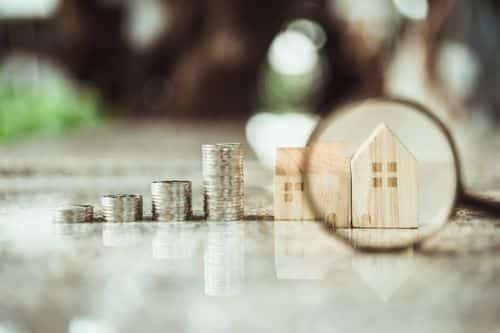 a representation of money growth with coins.